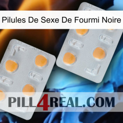 Black Ant Sex Pills 25
